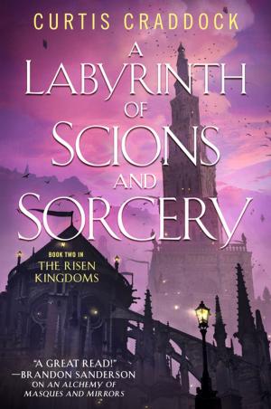 bigCover of the book A Labyrinth of Scions and Sorcery by 