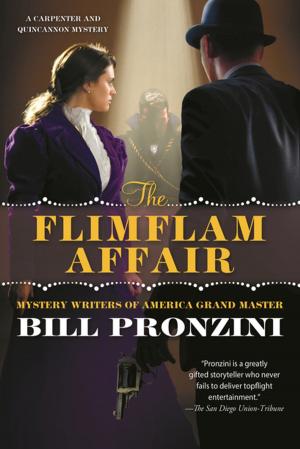 Cover of the book The Flimflam Affair by Elizabeth Fama
