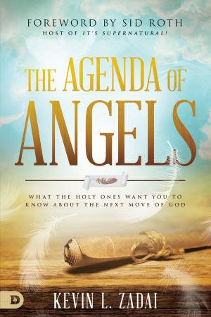 Cover of the book The Agenda of Angels by Kevin Zadai