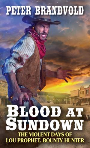 Cover of the book Blood at Sundown by Linda Rosencrance