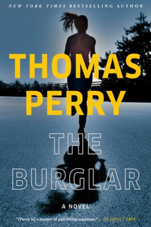 bigCover of the book The Burglar by 