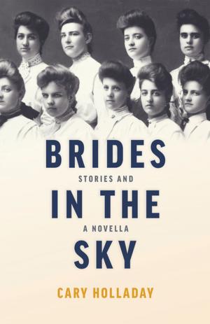Cover of the book Brides in the Sky by Mark Harril Saunders