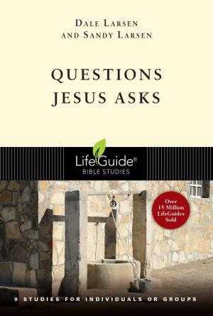 Cover of the book Questions Jesus Asks by R. Paul Stevens