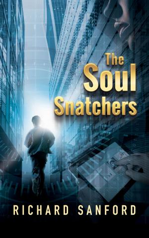 Book cover of The Soul Snatchers