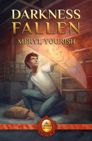 bigCover of the book Darkness Fallen by 
