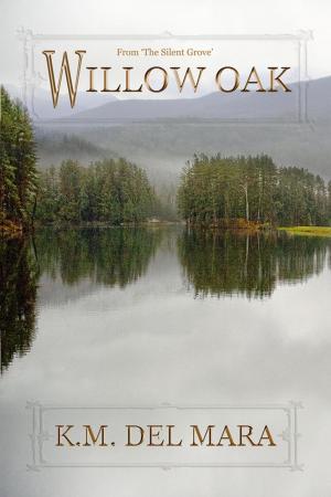 Cover of the book Willow Oak by Jeff Barcham