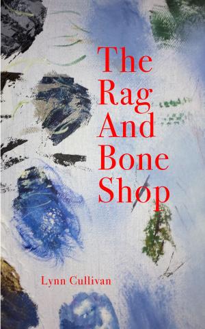 Cover of the book The Rag and Bone Shop by Ramon Higgins