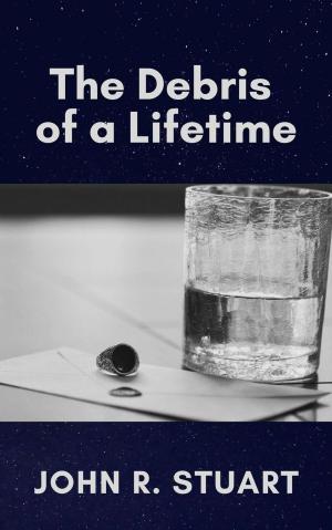 Cover of The Debris of a Lifetime by JOHN R. STUART, JOHN R. STUART