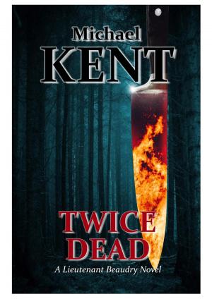 bigCover of the book Twice Dead by 