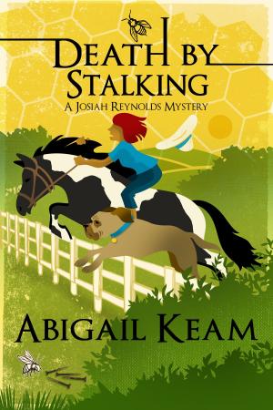 Book cover of Death By Stalking