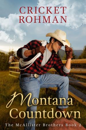 Cover of the book Montana Countdown by Ray Wolfe