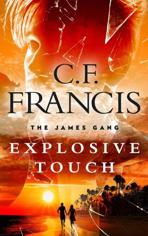 Cover of the book Explosive Touch by Jennifer Hoopes