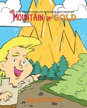 Cover of the book The Mountain of Gold by Suzanne Dome