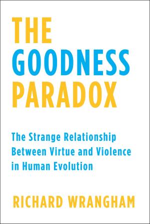 Book cover of The Goodness Paradox
