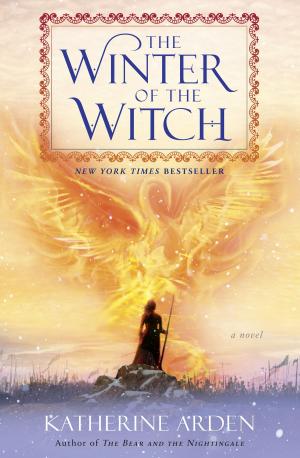 Cover of the book The Winter of the Witch by Chris Wooding