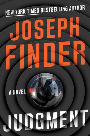 Cover of the book Judgment by Erika Chase