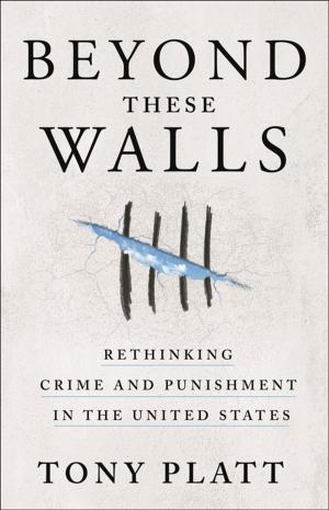 Cover of the book Beyond These Walls by Geerat J. Vermeij
