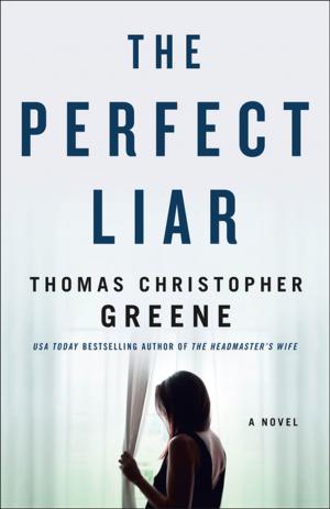 Cover of the book The Perfect Liar by Kjell Eriksson