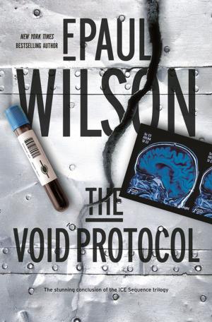 Cover of the book The Void Protocol by Mark Fitzgerald