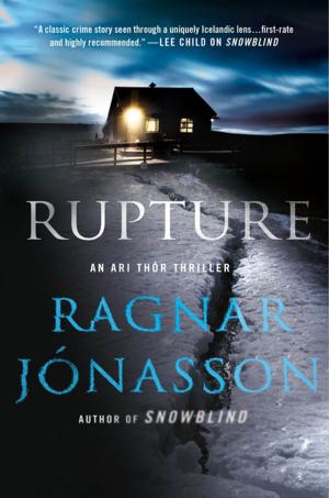 Cover of the book Rupture by Brian McGilloway