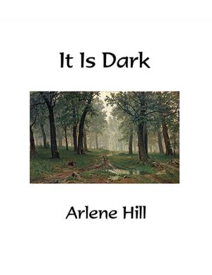 Cover of the book It Is Dark by Diedre Ann Davison