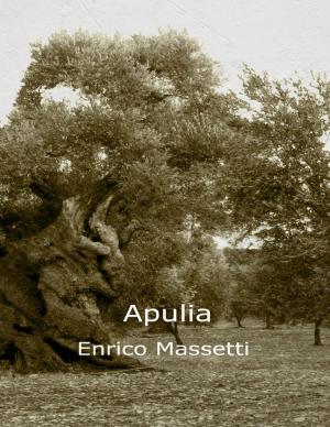 Book cover of Apulia