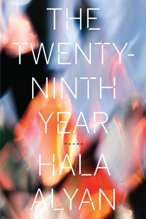 Cover of the book The Twenty-Ninth Year by Mary Downing Hahn