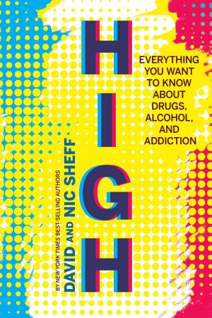 Cover of the book High by Lua Sáenz del Castillo