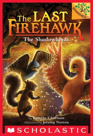 Cover of the book The Shadowlands: A Branches Book (The Last Firehawk #5) by Jennifer A. Nielsen