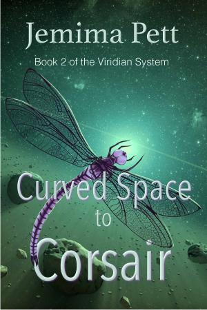 Cover of the book Curved Space to Corsair by Jemima Pett