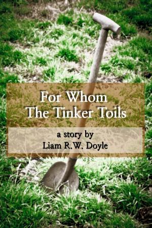 Cover of the book For Whom the Tinker Toils by Stephen Allan