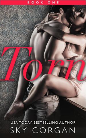 Cover of the book Torn by Fabiola Francisco