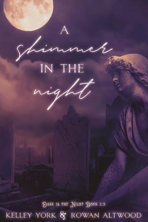 Cover of the book A Shimmer in the Night by 