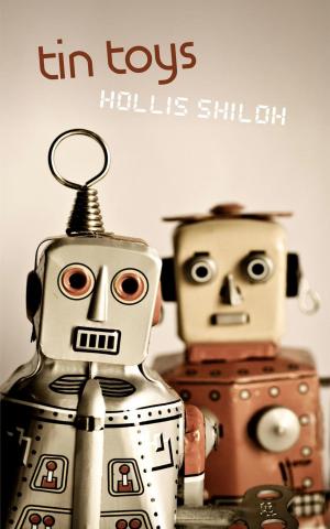 Cover of the book Tin Toys by Hollis Shiloh