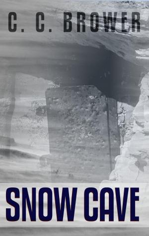 Book cover of Snow Cave