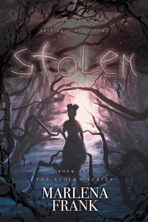 Cover of the book Stolen by Jen Castleberry