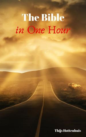 Cover of the book The Bible in One Hour by Michael Weinrich