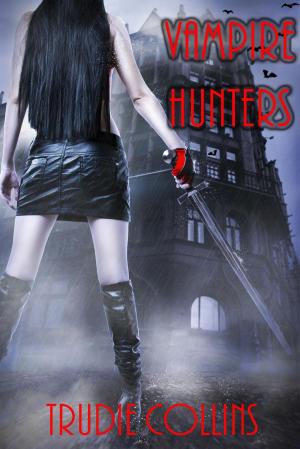 Cover of the book Vampire Hunters by Tess Rider