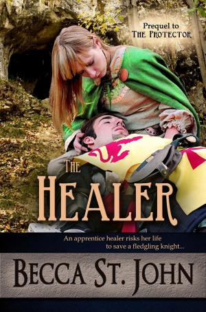 Cover of the book The Healer by Guy Boothby
