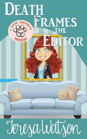 Cover of the book Death Frames the Editor by Lee Hanson