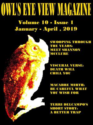 Book cover of Owl's Eye View Magazine - Volume 10 - Issue 1