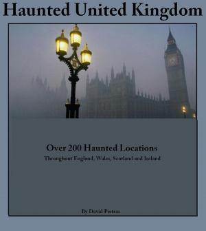 Book cover of Haunted United Kingdom