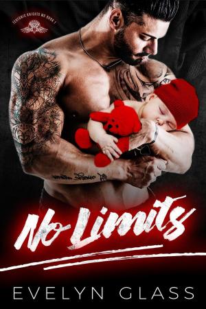 Cover of the book No Limits by Evelyn Glass
