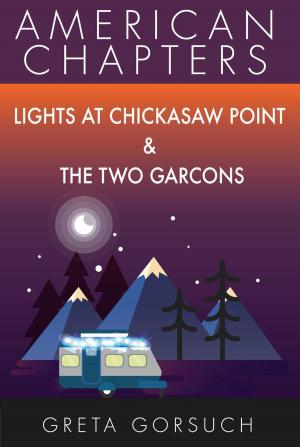 Book cover of Lights at Chickasaw Point & The Two Garcons