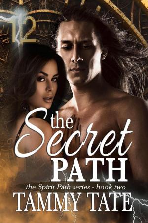 Cover of the book The Secret Path by Dominique Luchart