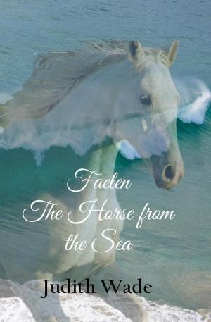 Cover of the book Faelen, The Horse from the Sea by Andris Bear