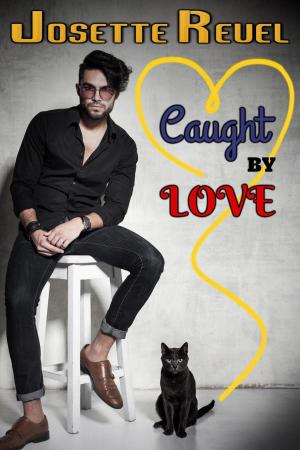 Cover of the book Caught by Love by Jen Minkman