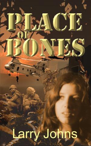 Cover of Place of Bones