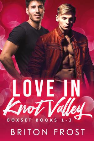 Cover of the book Love in Knot Valley: 1-3 by Stefan Lear