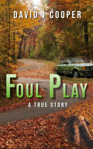 Book cover of Foul Play
